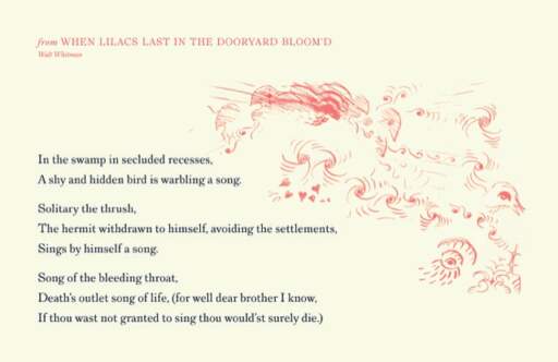 from When Lilacs Last in the Dooryard Bloom'd-thrush song