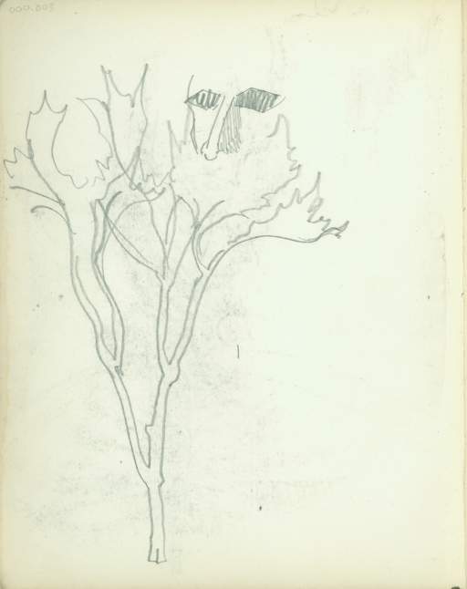 Untitled (tree sketch with face)