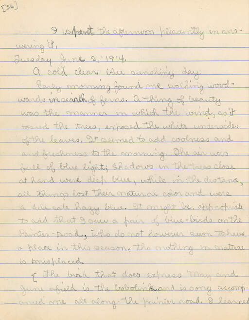 Untitled (Journal Pg 26)