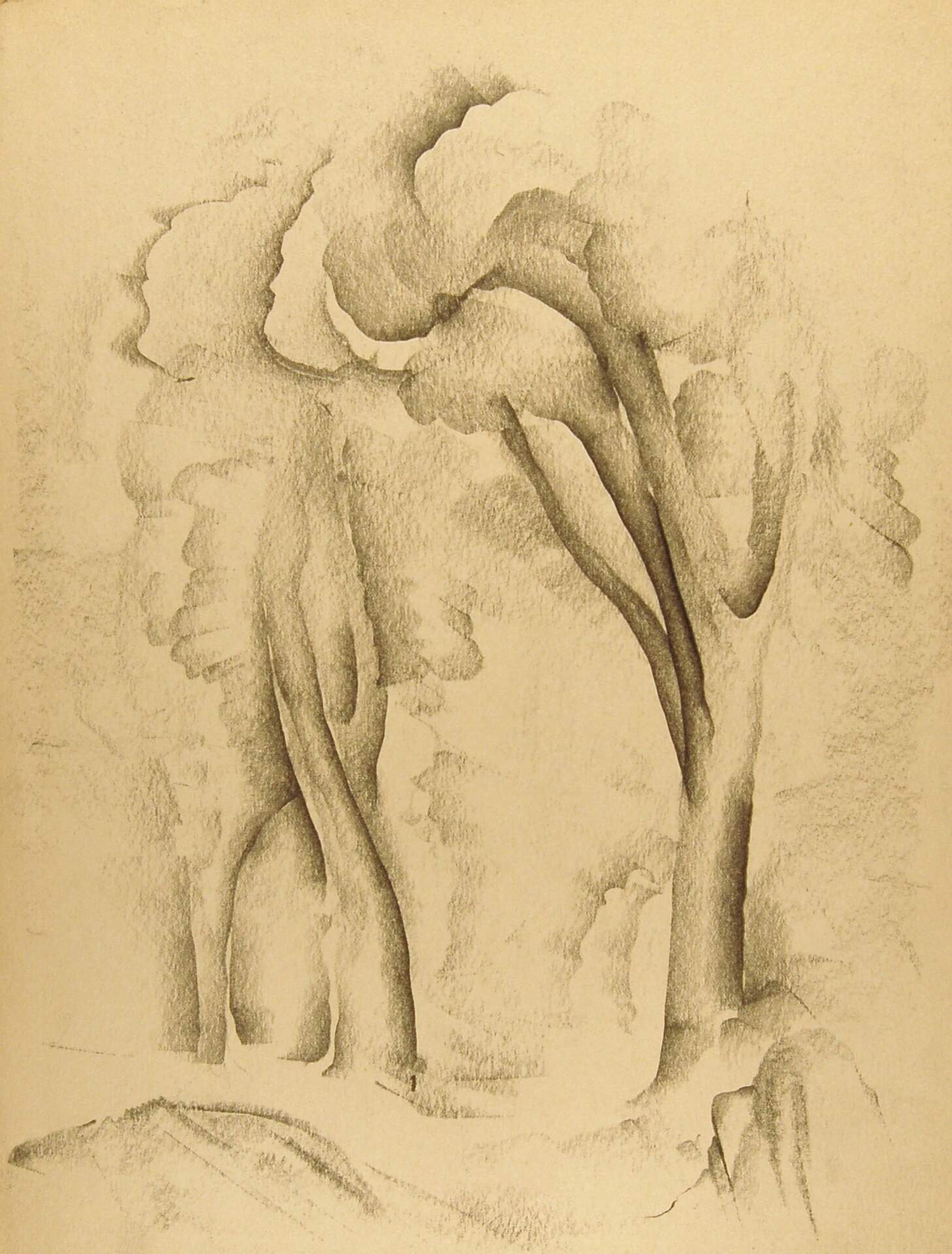 Tree and Bushes