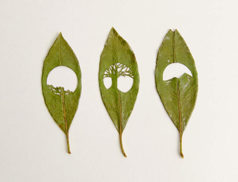 Art in Craft Media Artist and Juror Tours