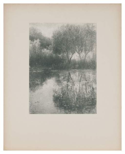 Untitled [trees reflected in pond]