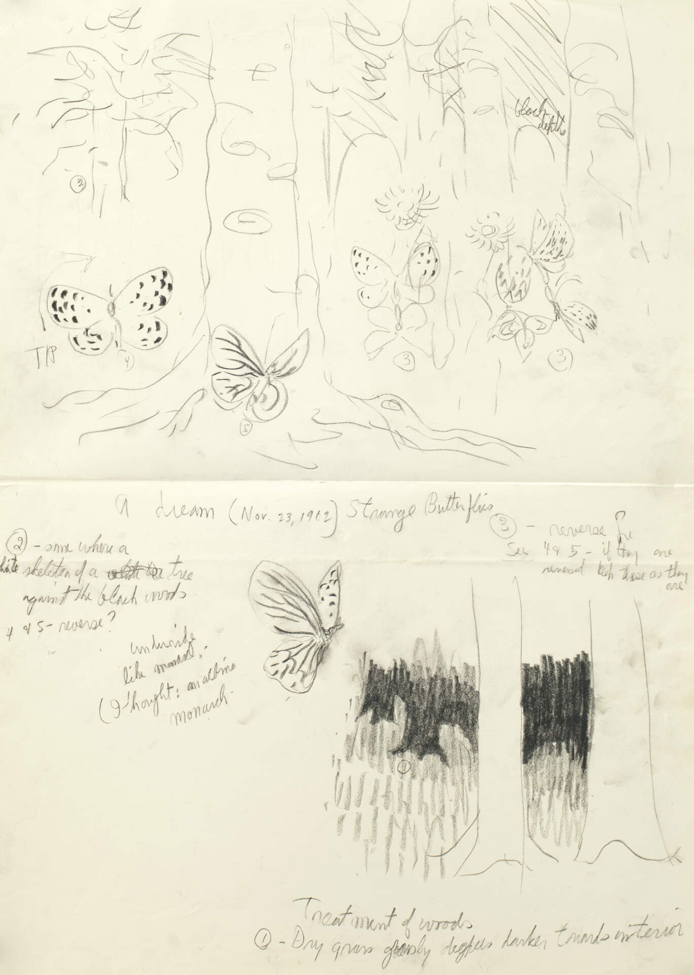 A dream (Nov. 23, 1962) Strange Butterflies