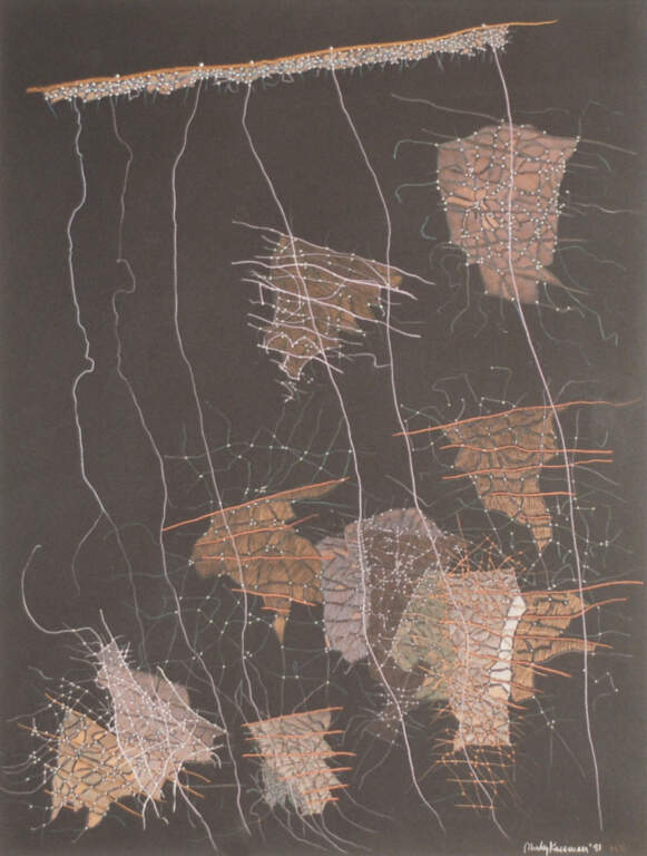 Shirley Kassman: Fourteen Years