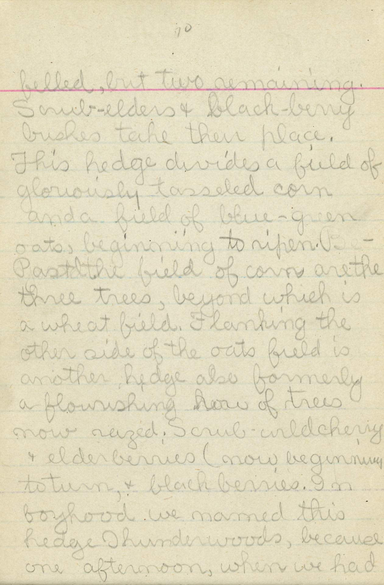 Untitled (Journal Page) pg. 70