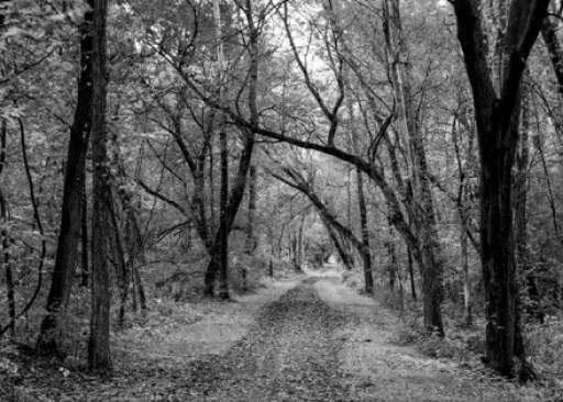 Tow Path, Camillus, NY