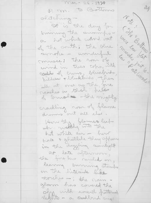 Volume 33, Page 29
