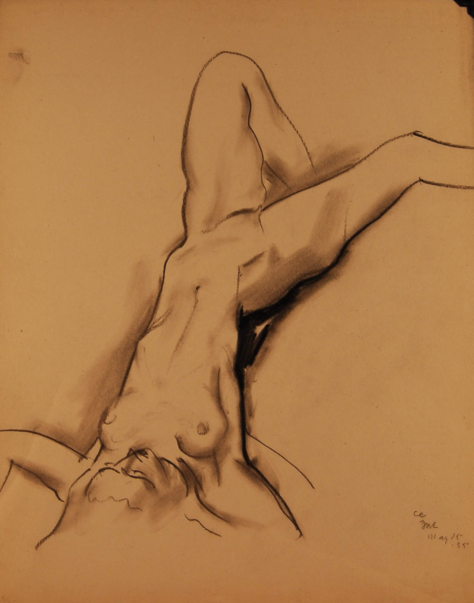 Head -Standing Female Nude