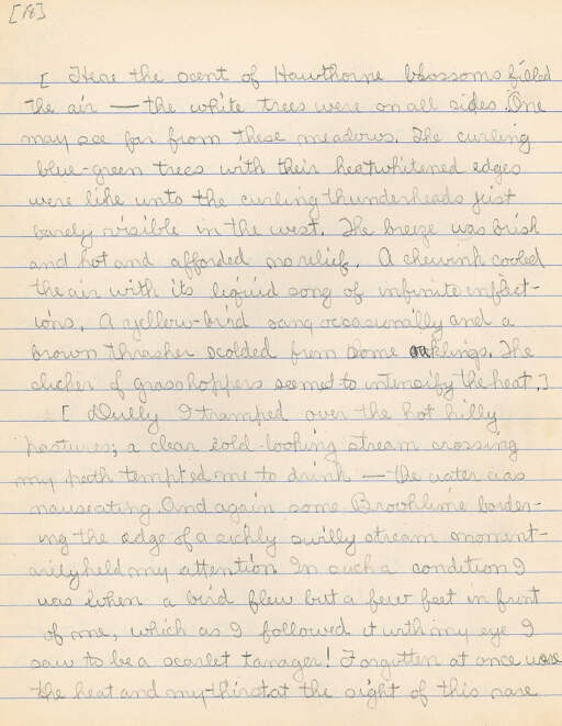 Untitled (Journal Pg 18)