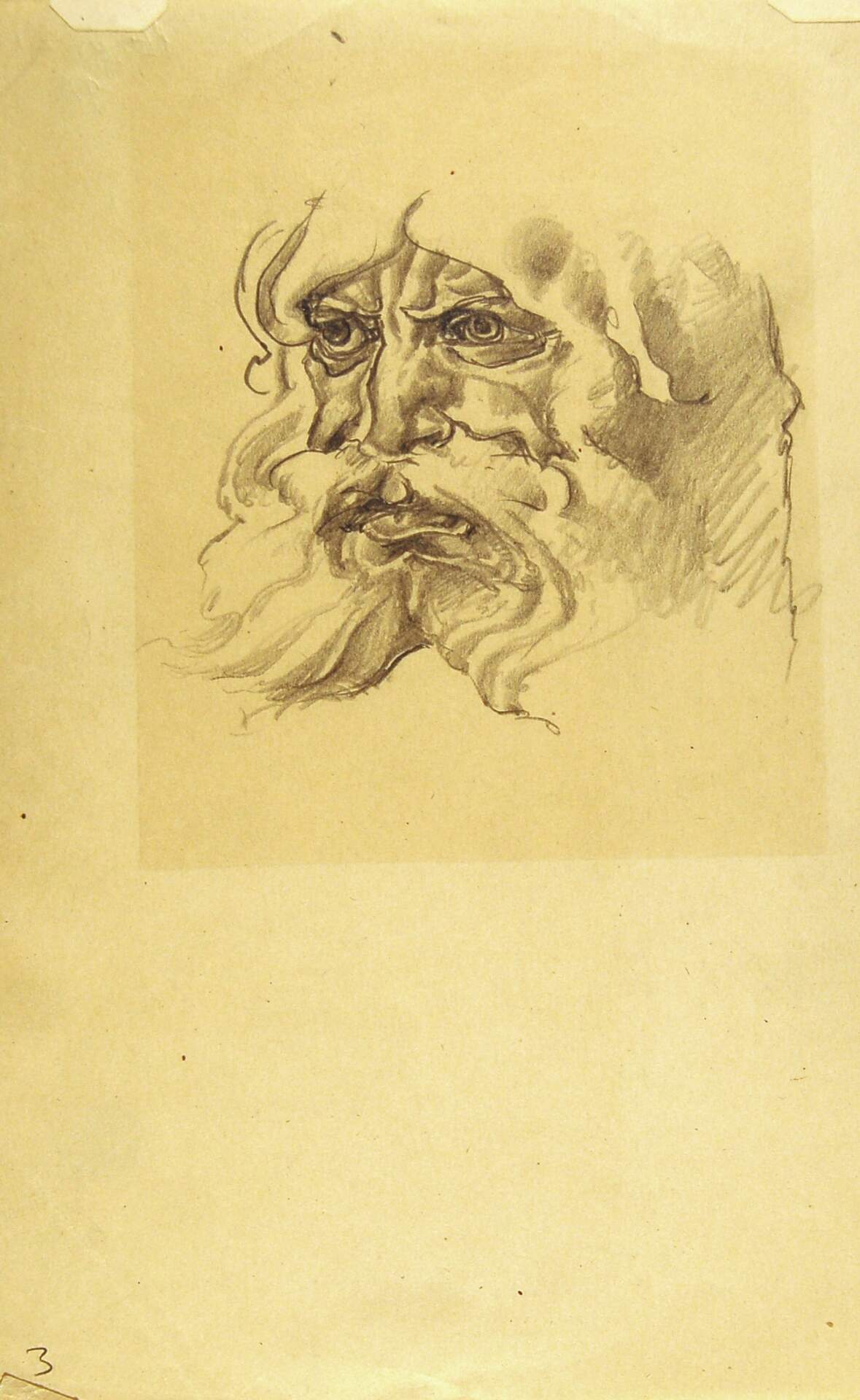 Male Head with Beard
