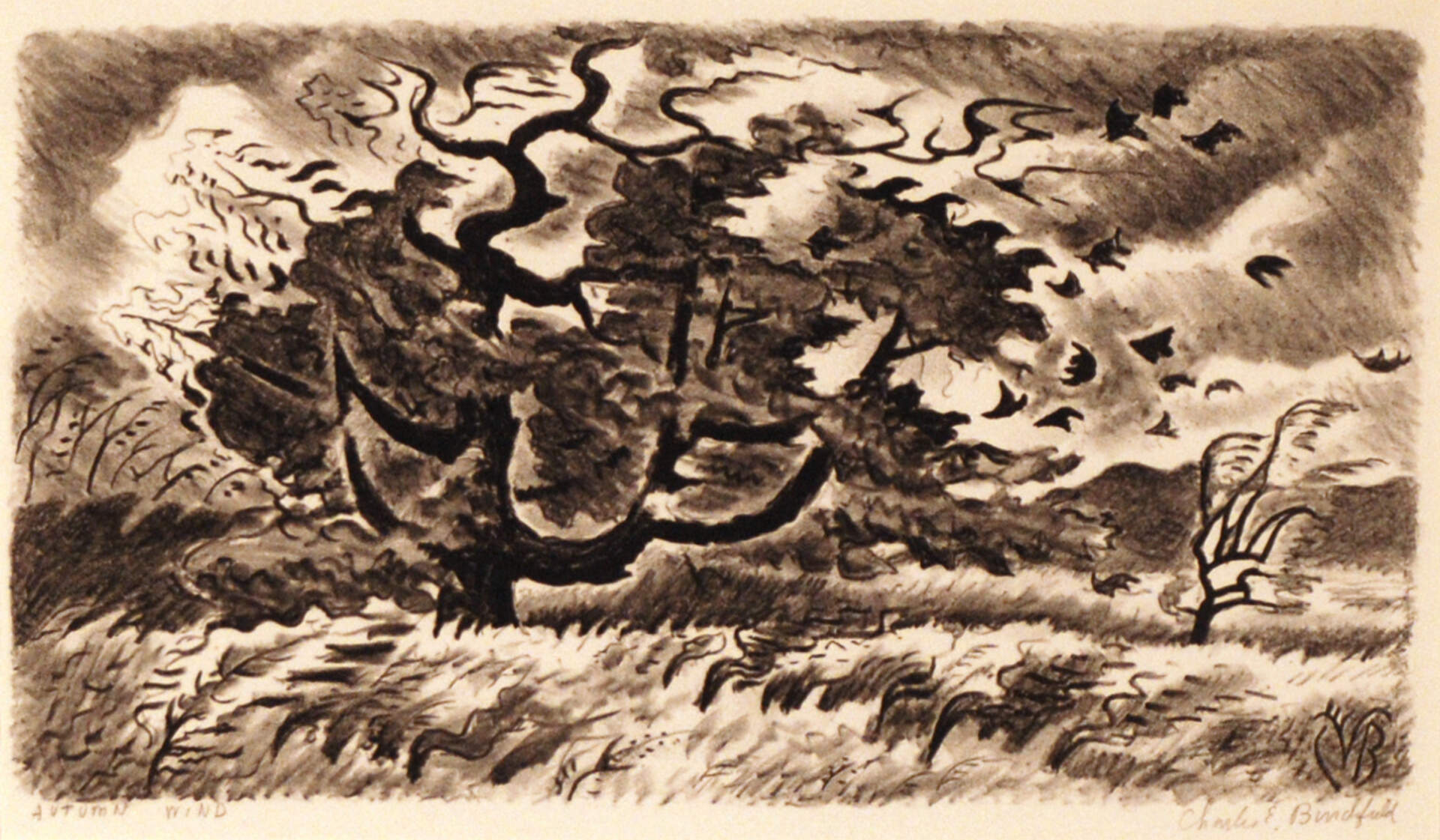 Autumn Wind