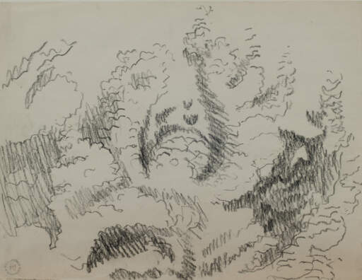 Foliage Study