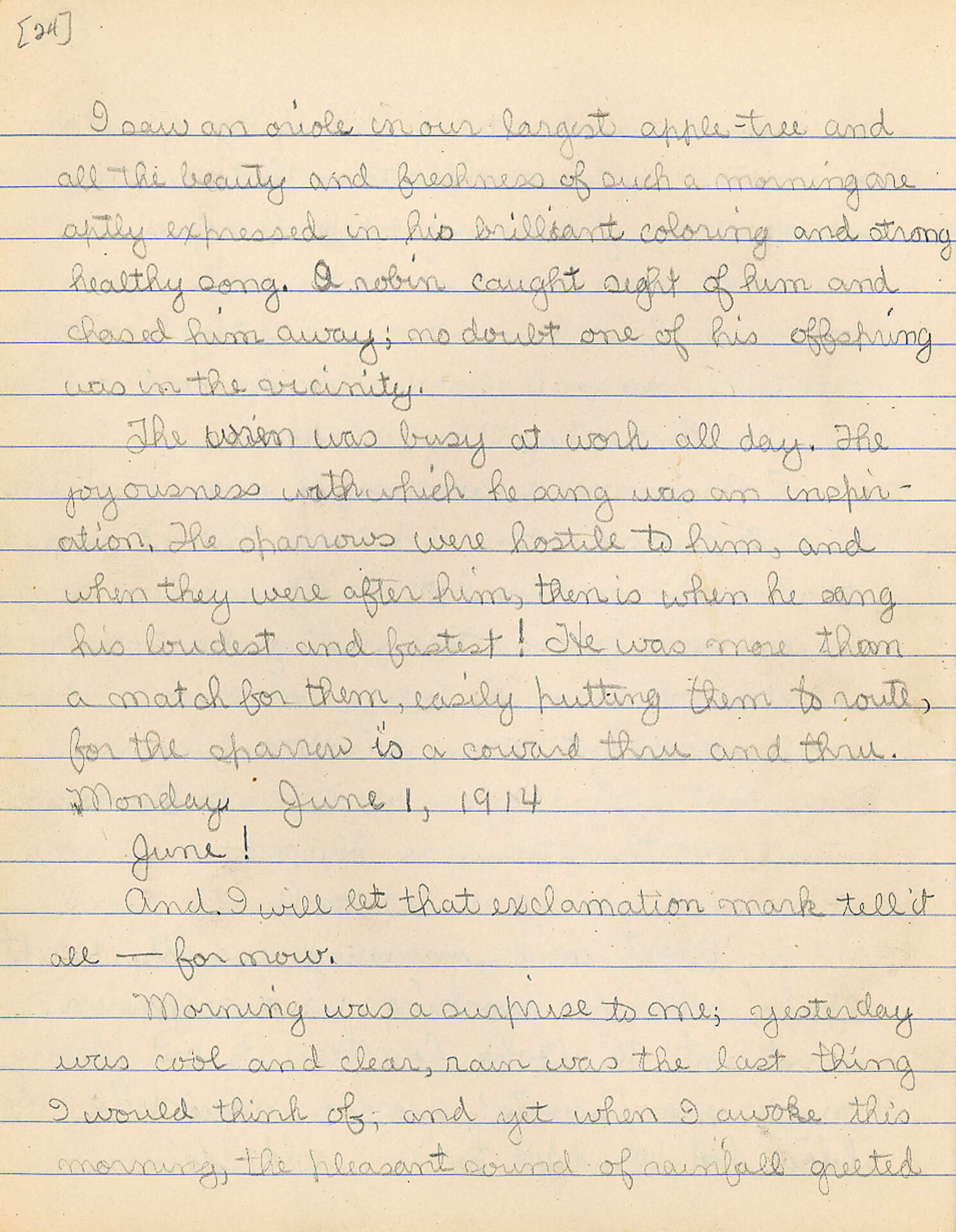 Untitled (Journal Pg 24)