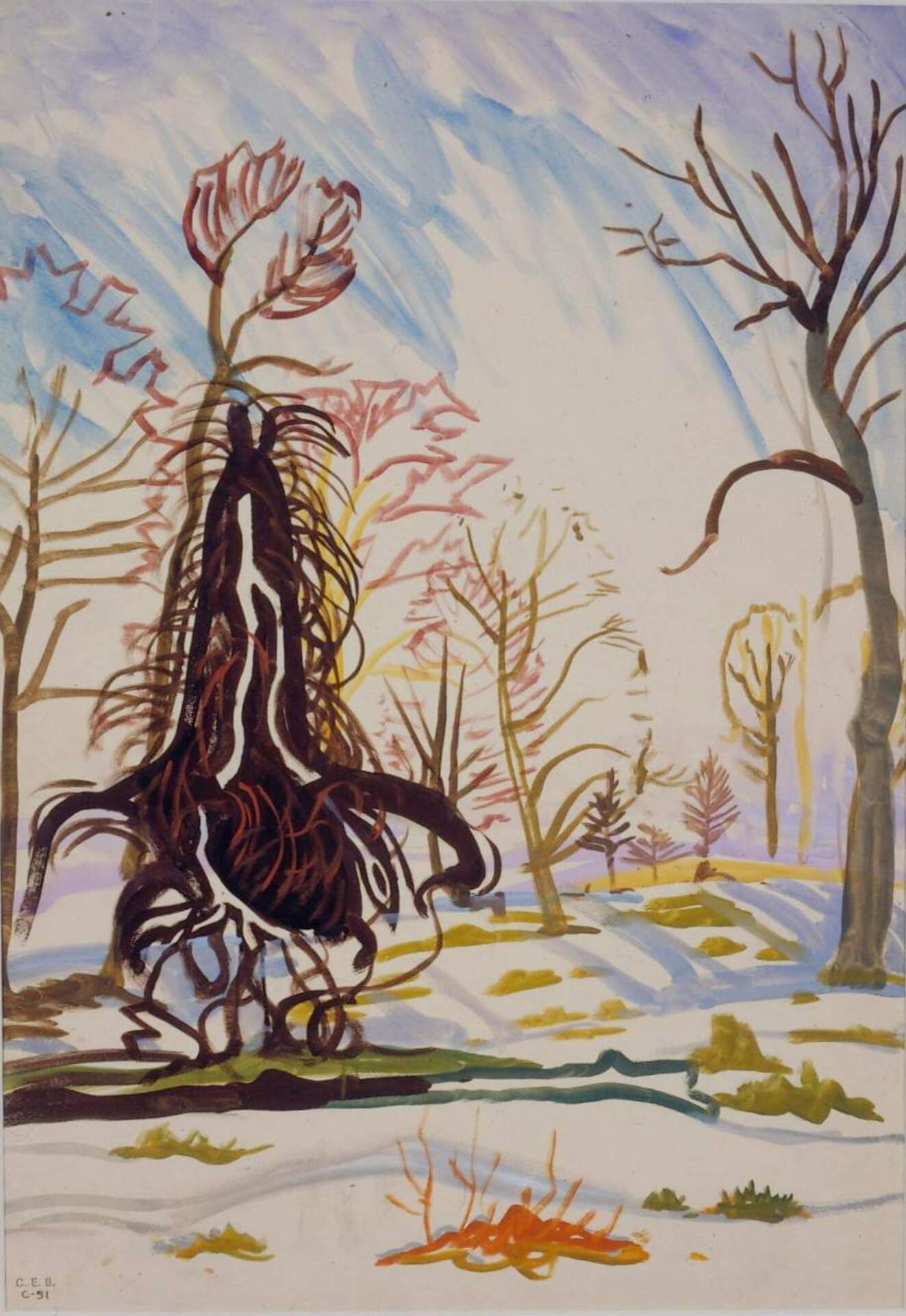 Windy Trees in Sunlight