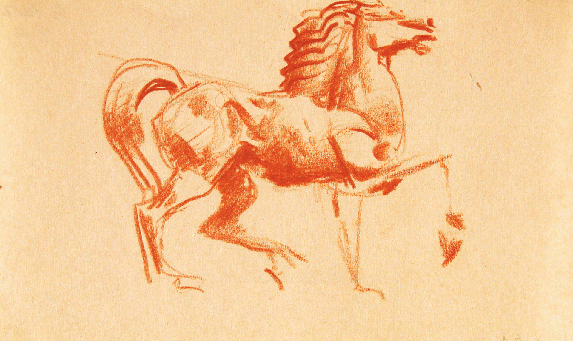 Sketches of Horse