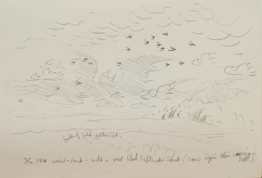 Untitled (Vast Black September Spirit)