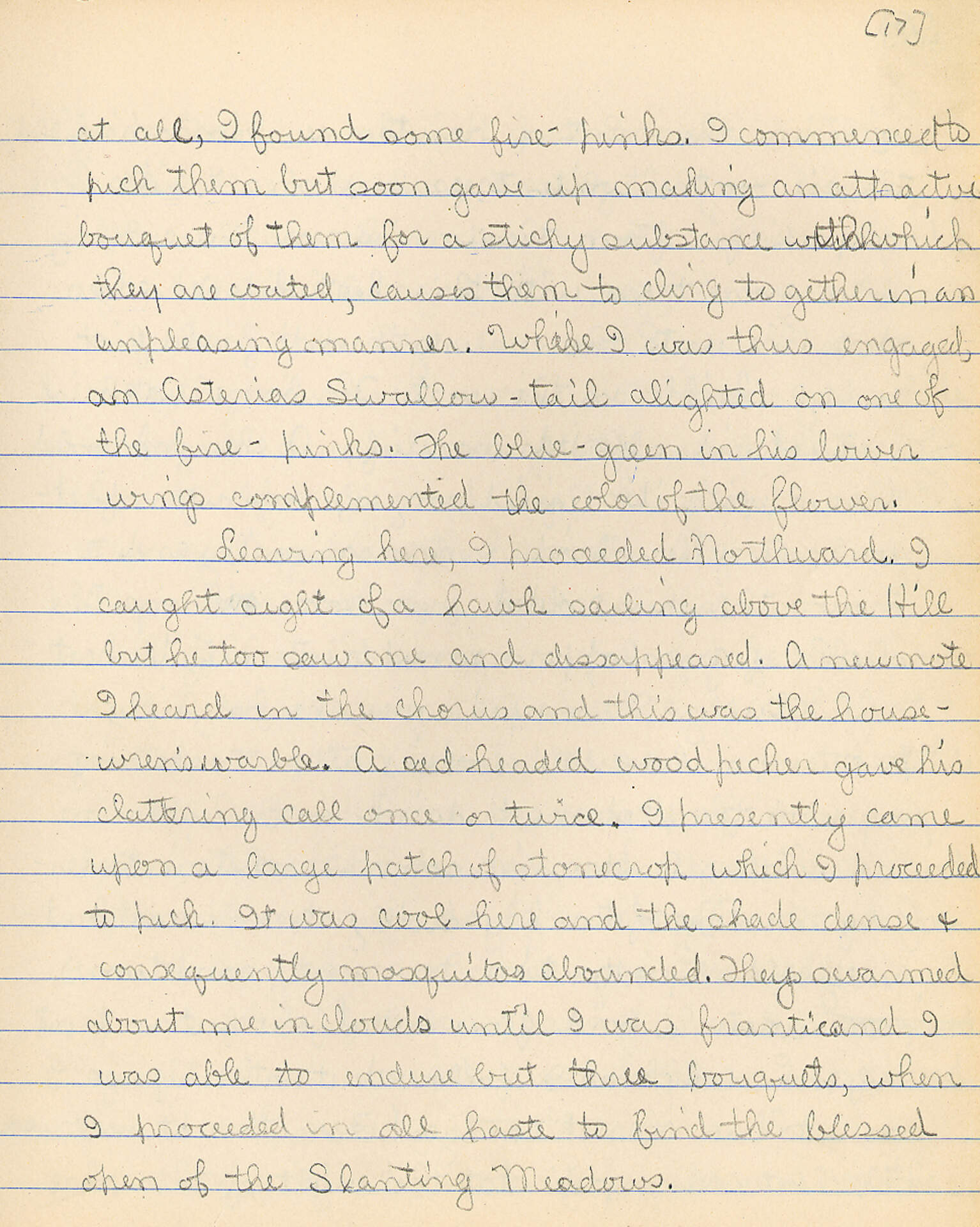 Untitled (Journal Pg 17)