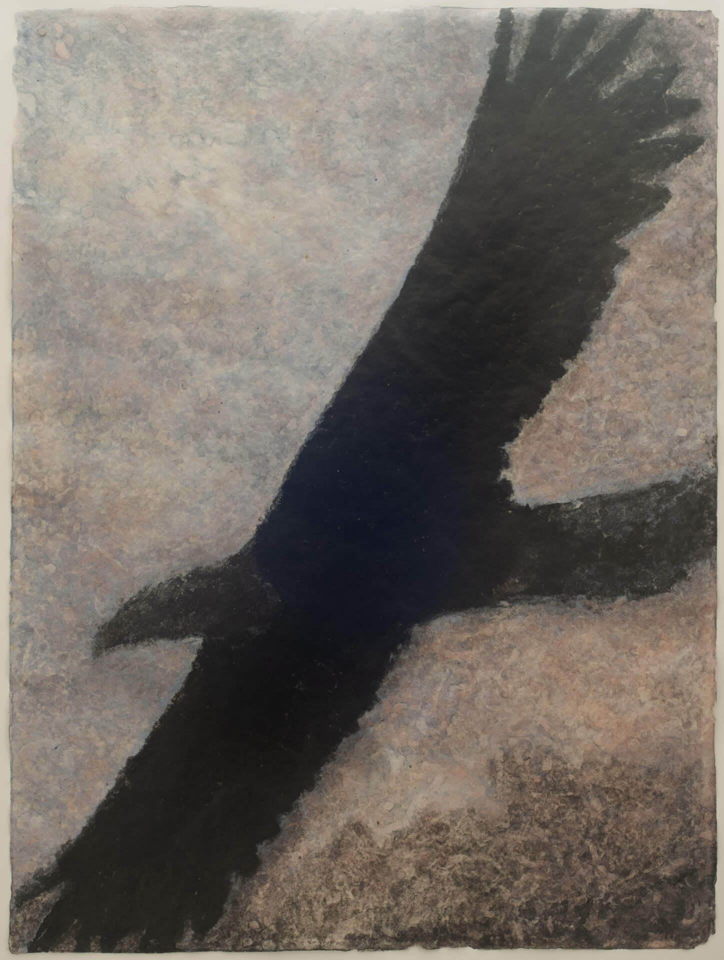 Bird of Prey