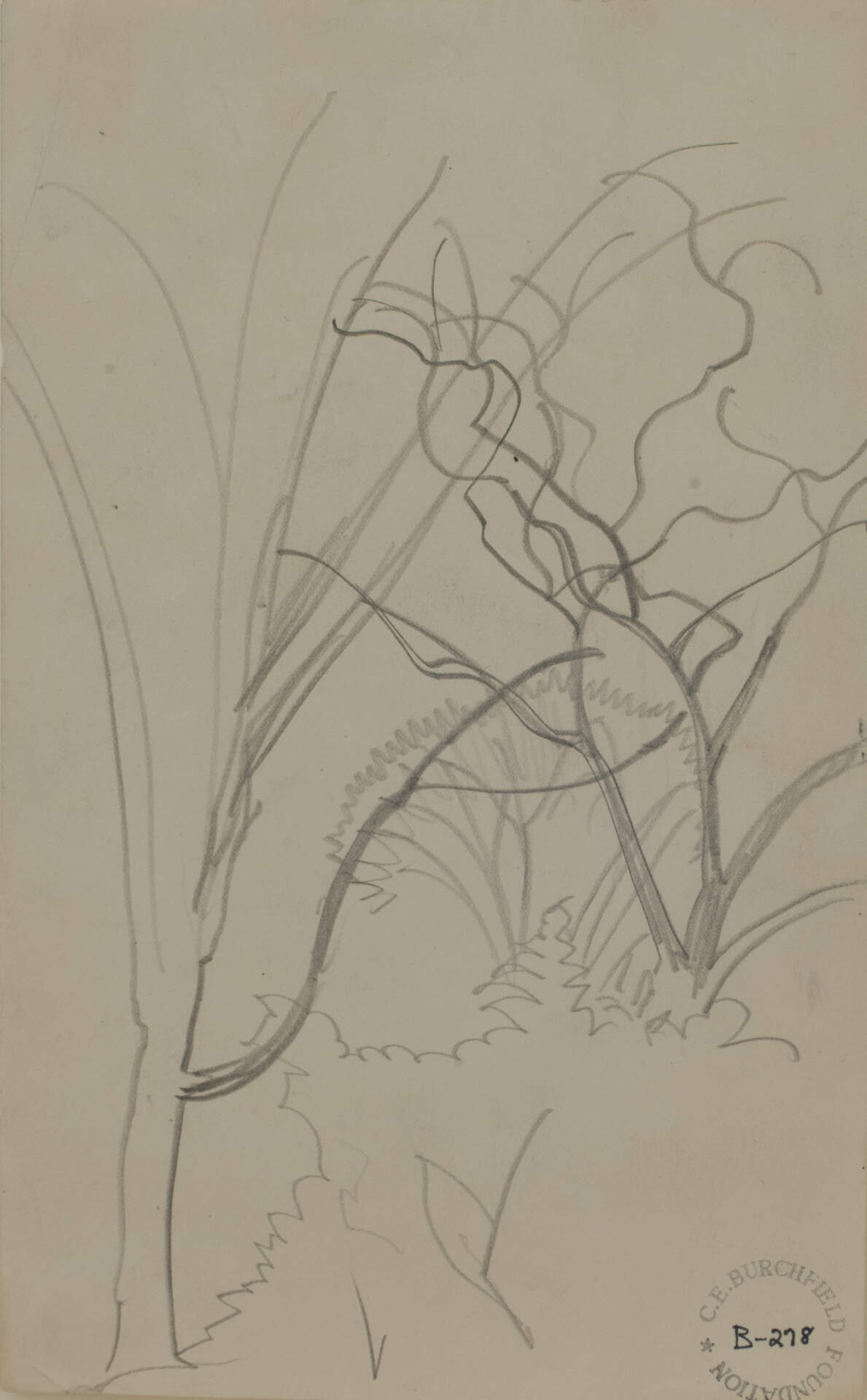 Tree Branches