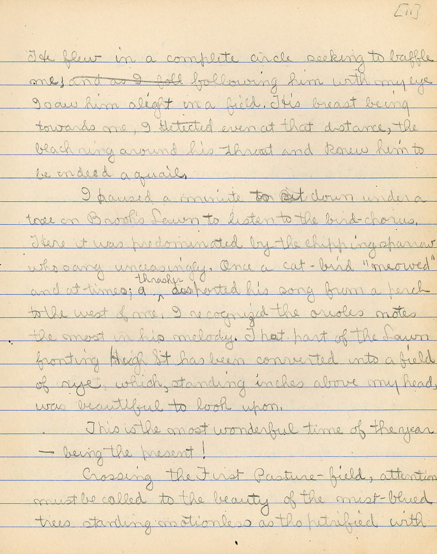 Untitled (Journal Pg 11)