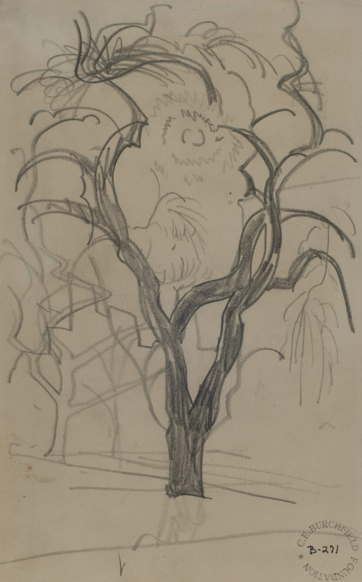 Tree Study