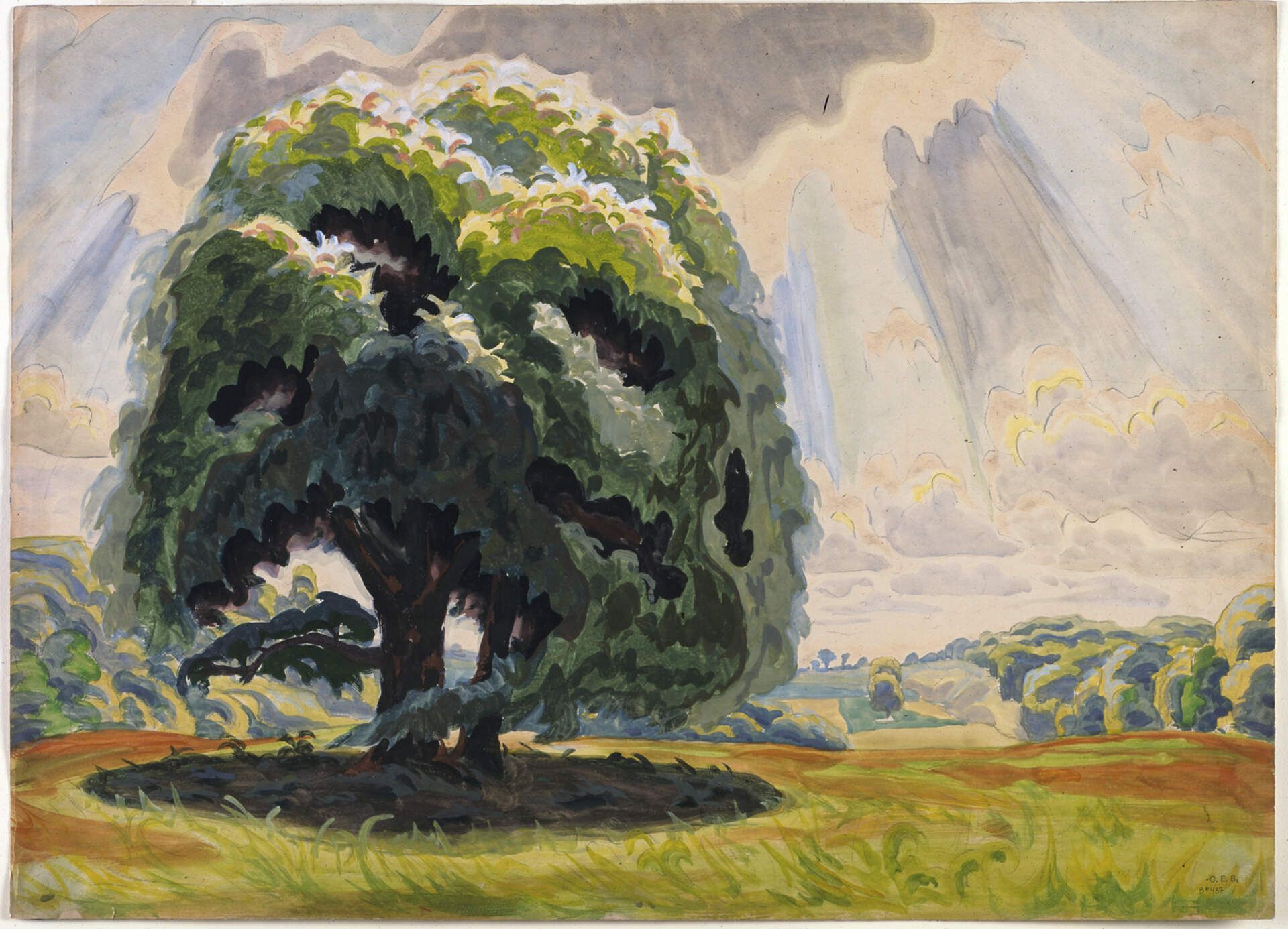 The Big Tree, C. E. B. [Foundation] no. B-487 