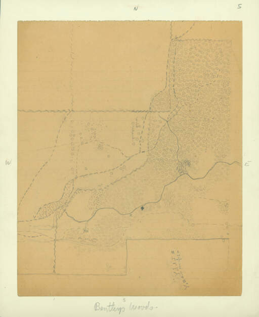 Bentley's Woods