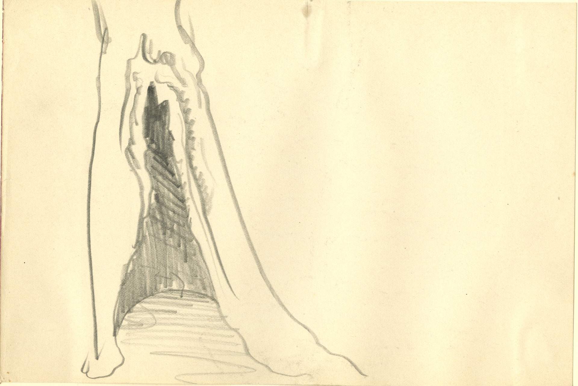 Sketch of view inside tree trunk