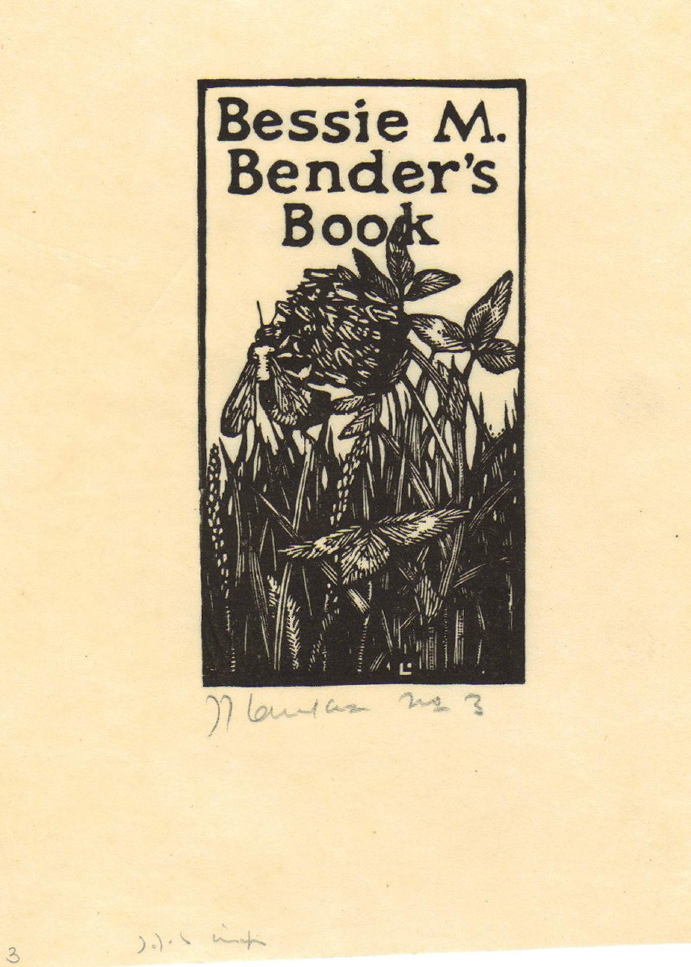 Bessie M. Binder's Book