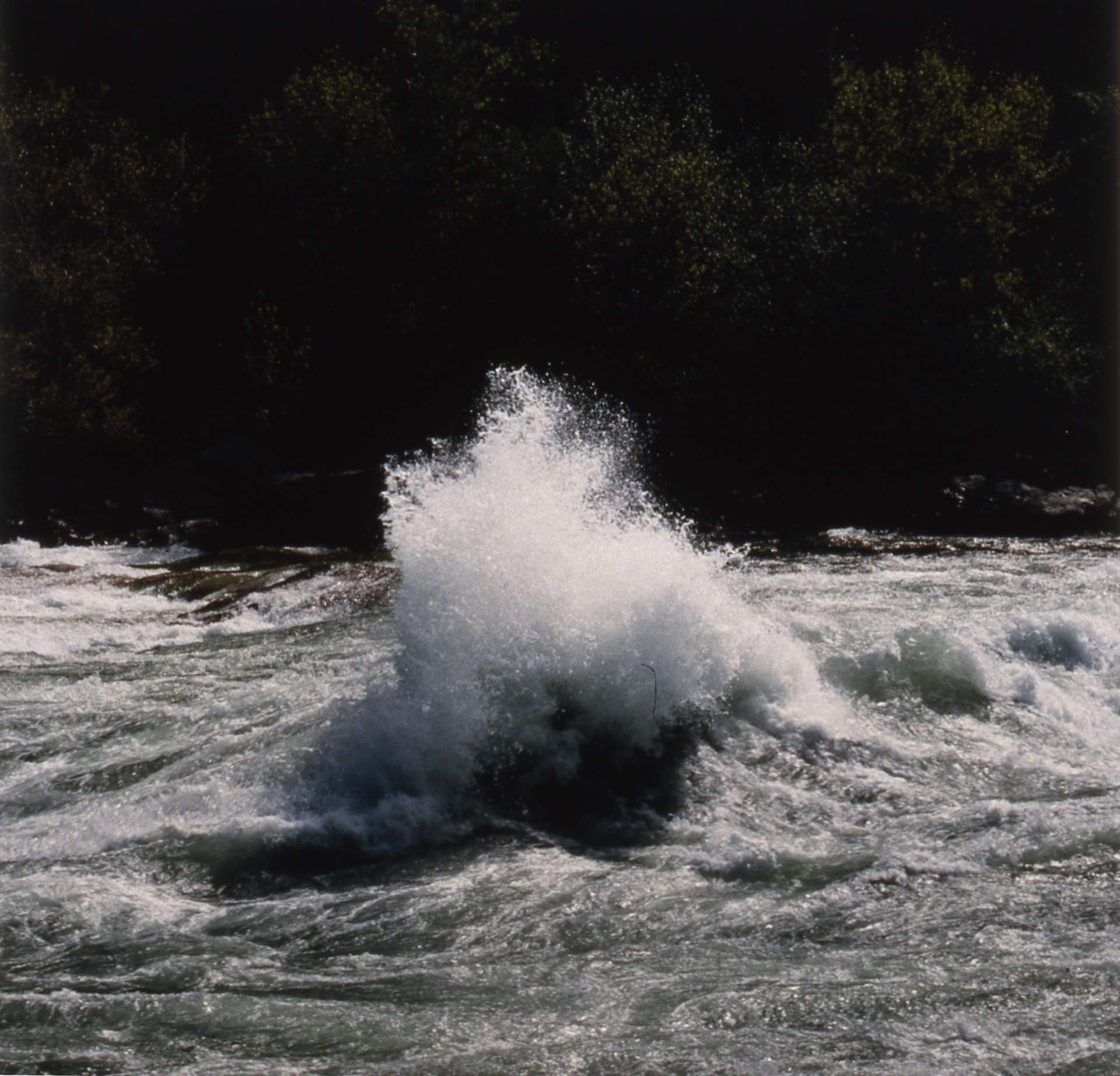 Large Wave in Whirlpool Rapids