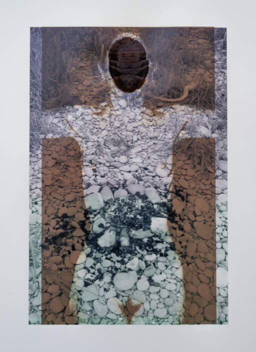 Untitled, Self-Portrait Series # 17