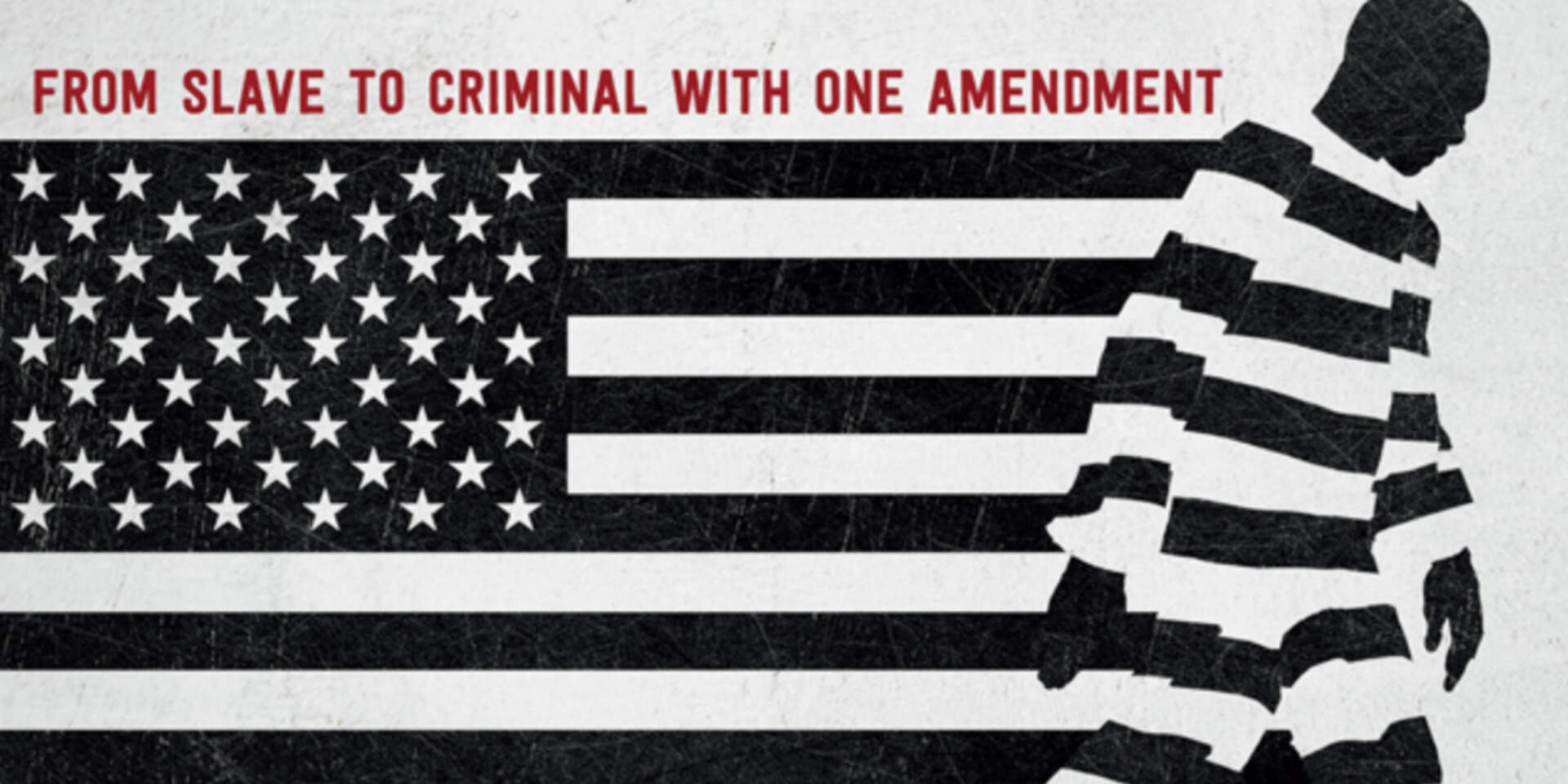13th Directed by: Ava DuVernay (2016)