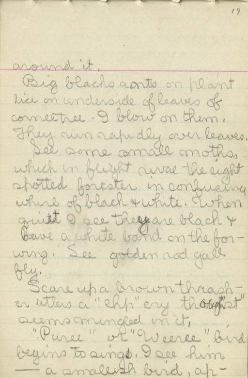 Untitled (Journal Page), Pg 19