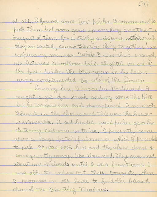 Untitled (Journal Pg 17)