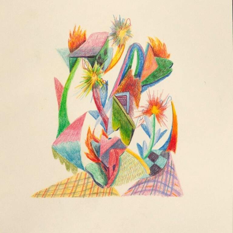 From Observation to Abstraction