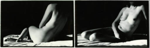 Odalisque Diptych
