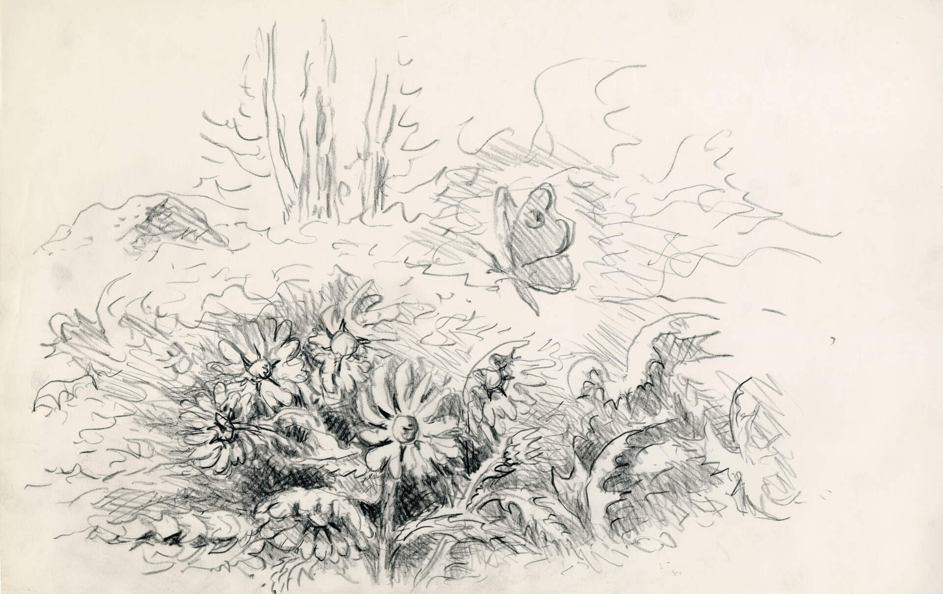 Study for The White Wings of September