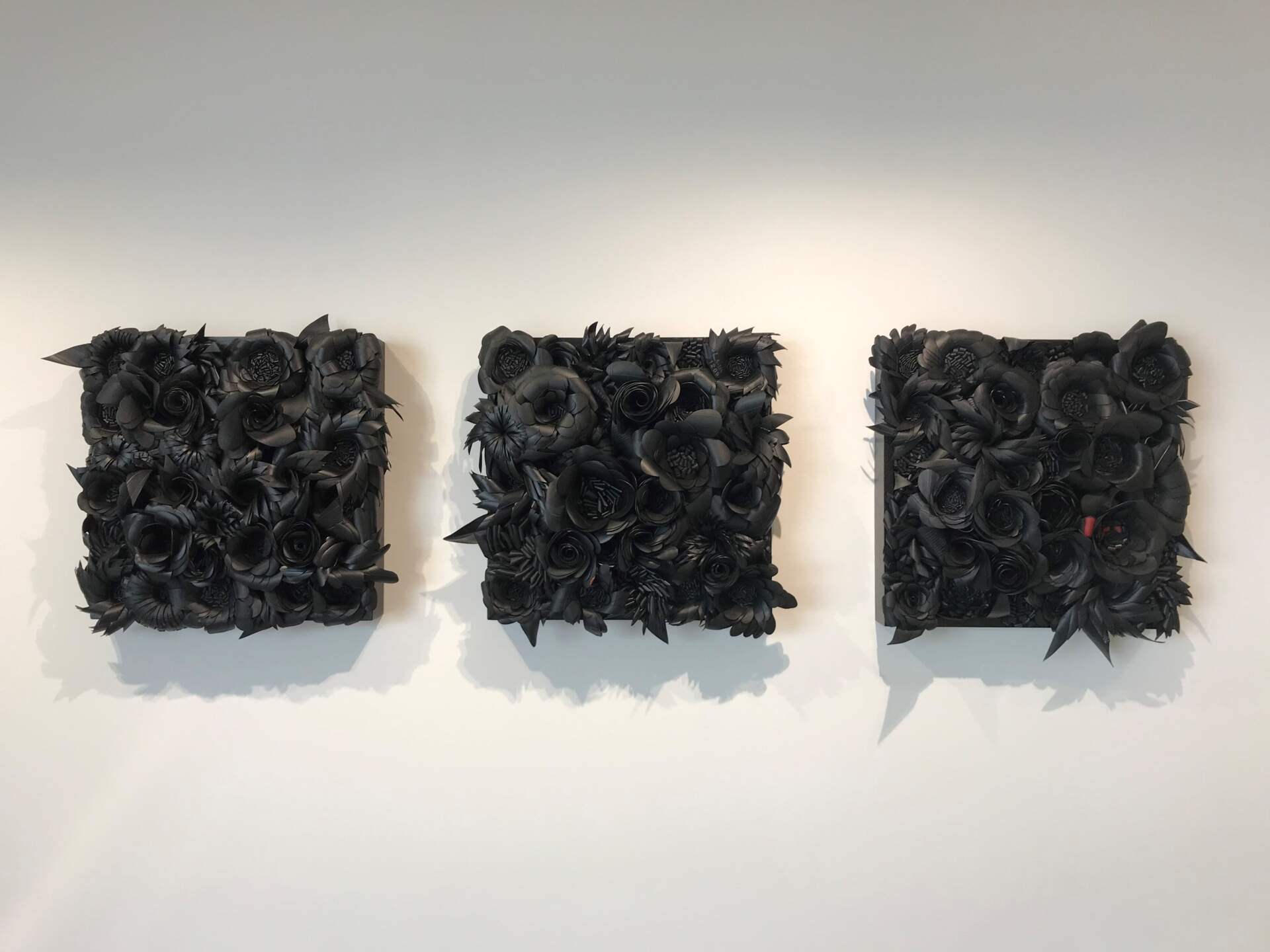 Rubber Garden