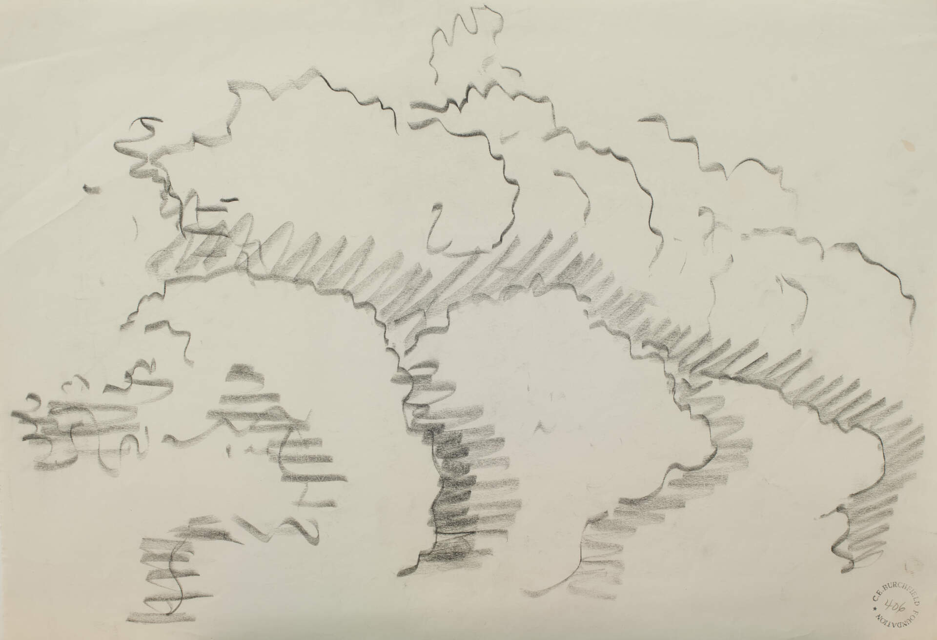 Foliage Study