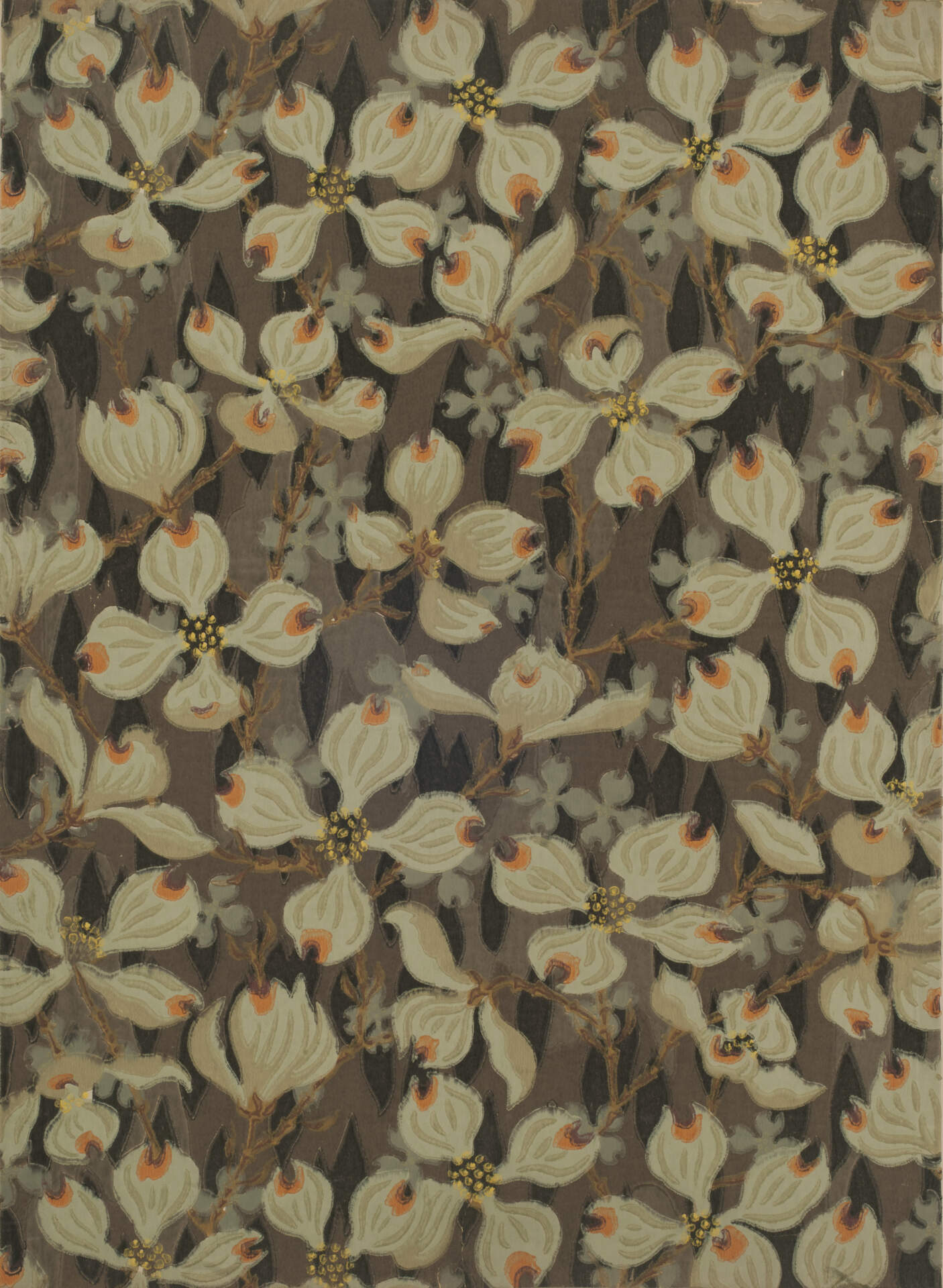 Dogwood