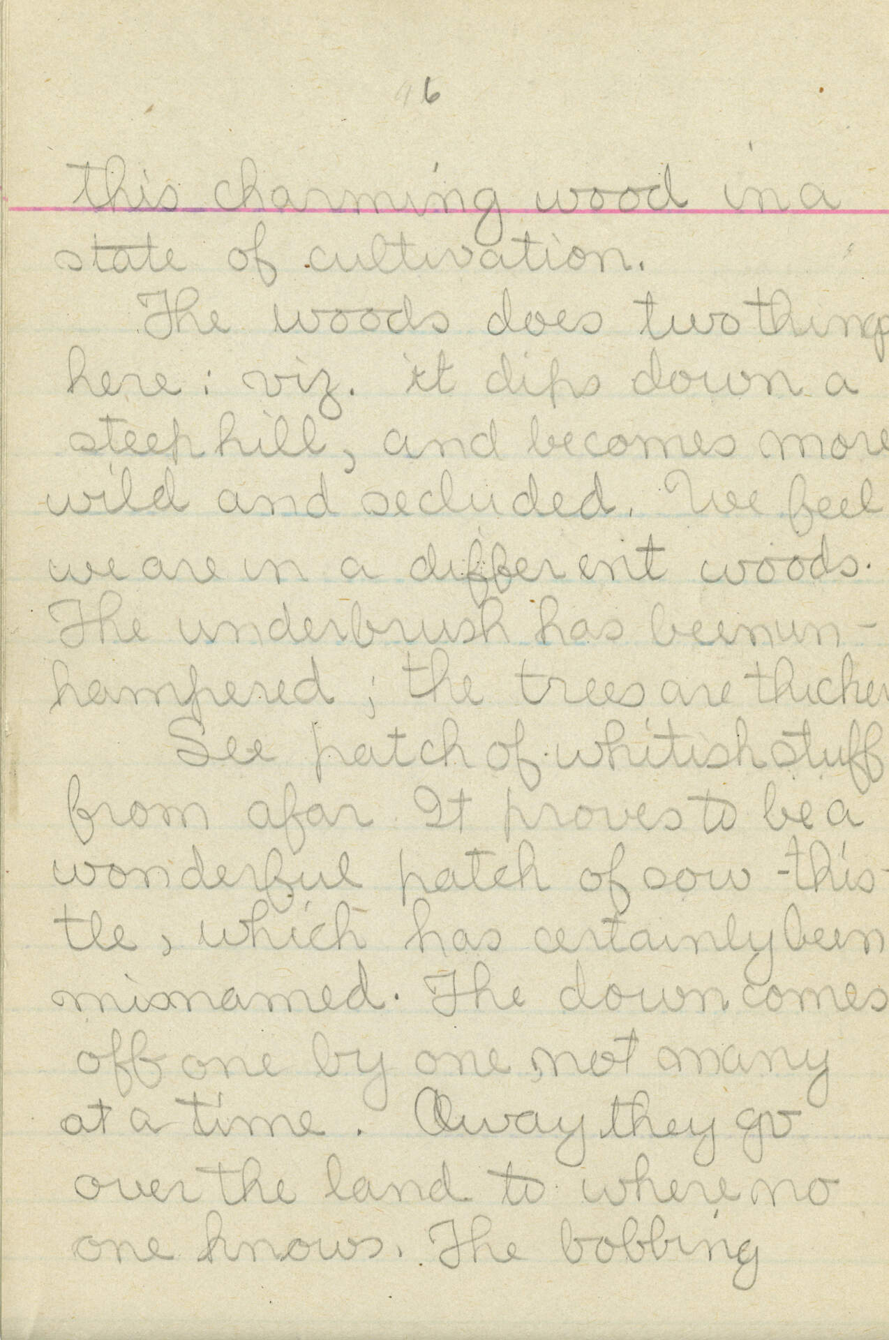 Untitled (Journal Page) pg. 96