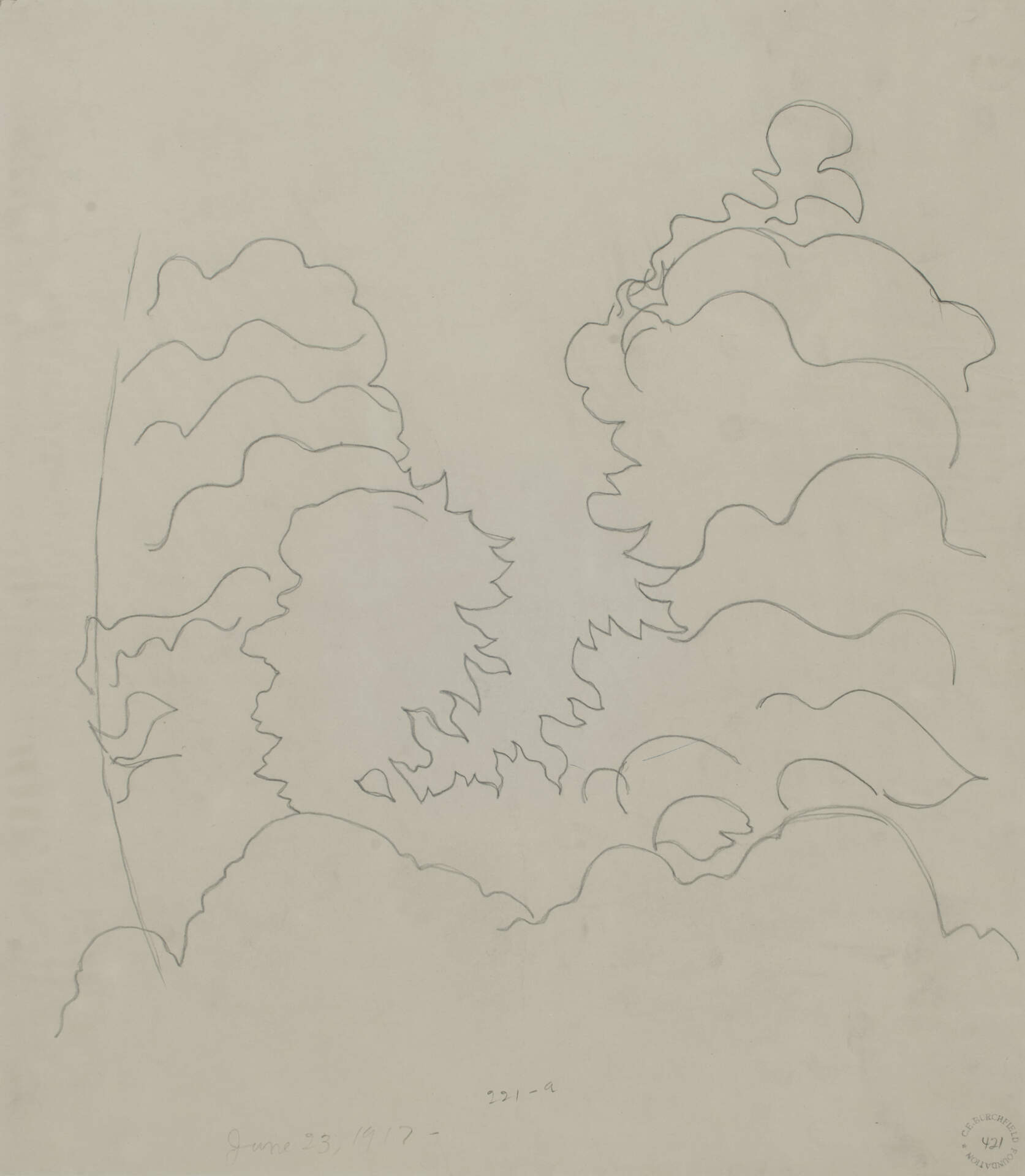 Tracing from the Back of 221 Study