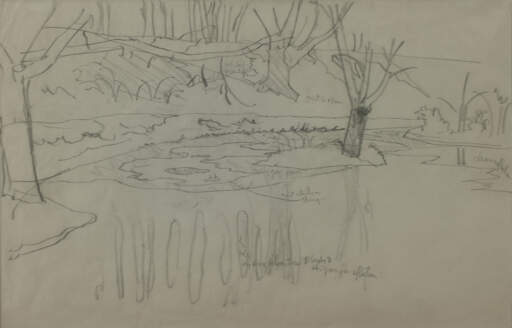 Untitled (Sky Opening Between Trees)