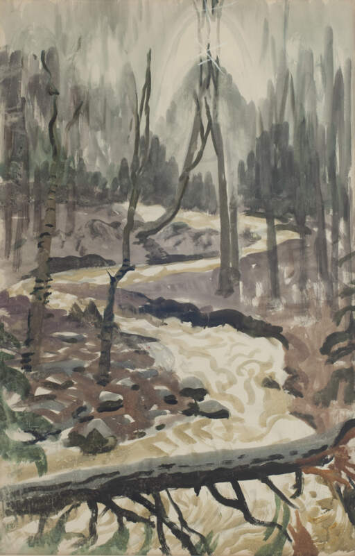 Yellow Torrent in the Woods Near Hepatica Hollow