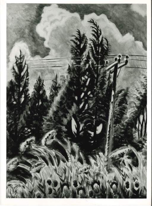 Telegraph Pole in August