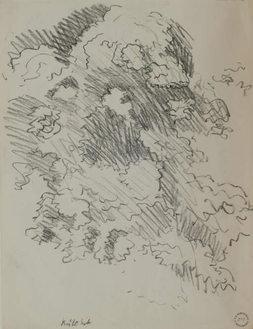 Foliage Study