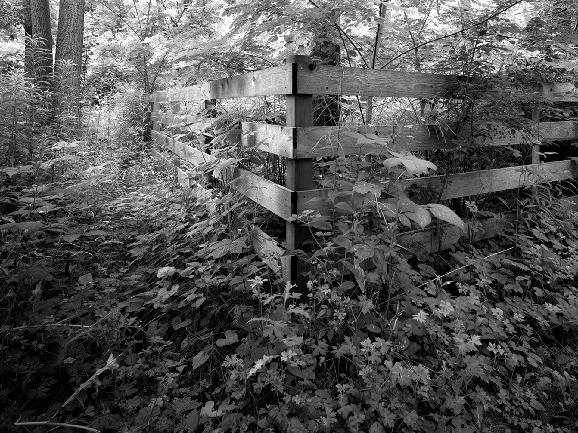 Durand Eastman Park, Rochester, New York