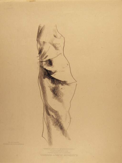 Sketch of Tree Trunk Section