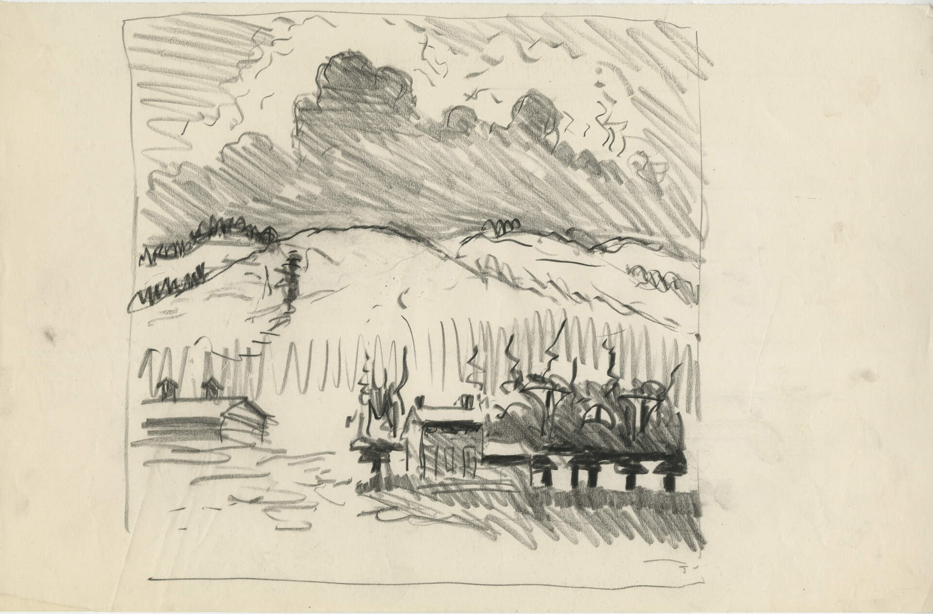 Study Bearded Hills in August