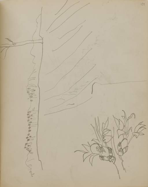Untitled (flowers and landscape)